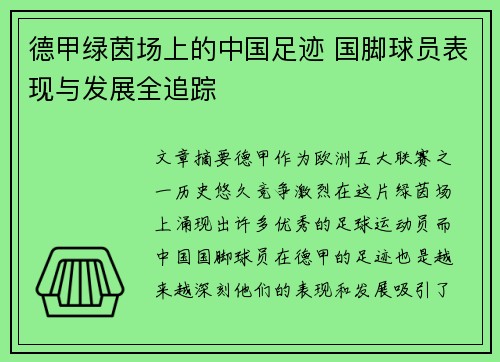 德甲绿茵场上的中国足迹 国脚球员表现与发展全追踪